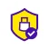 secure icon